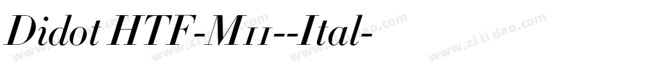 Didot HTF-M11--Ital字体转换